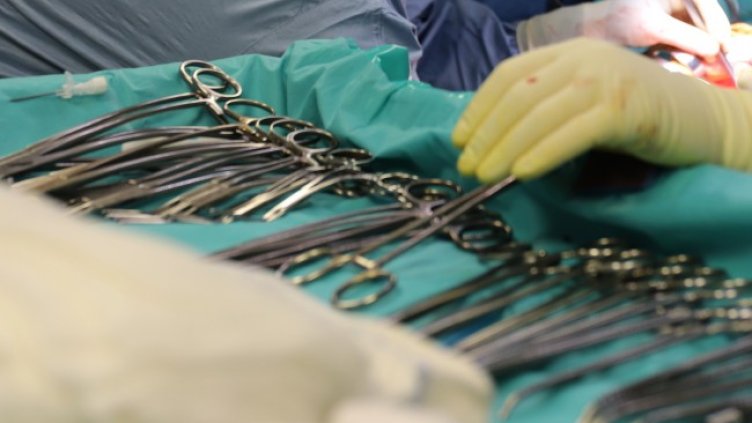 Снимка: БГНЕС, архив