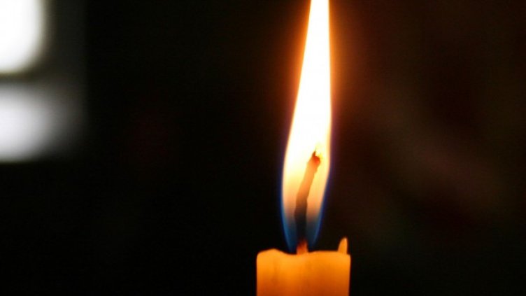 Снимка: архив, БГНЕС