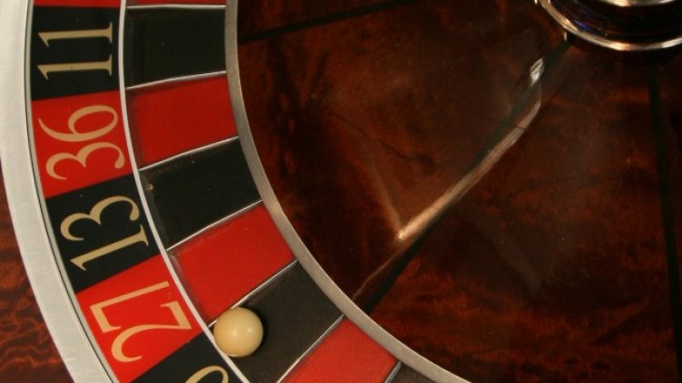 Снимка БГНЕС