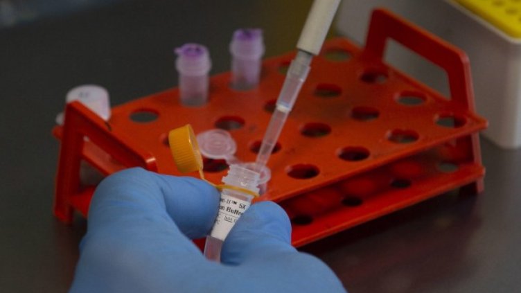 Снимка: архив, БГНЕС