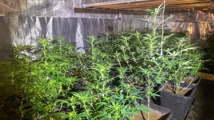 Снимка: МВР, архив