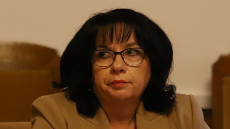 Снимка: архив, БГНЕС