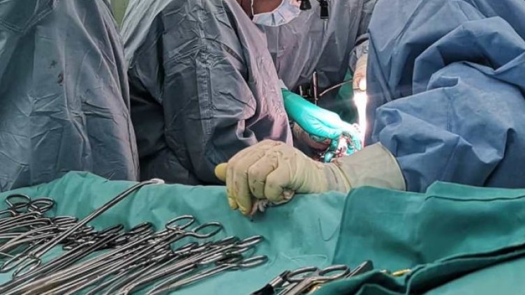 Снимка: архив, БГНЕС