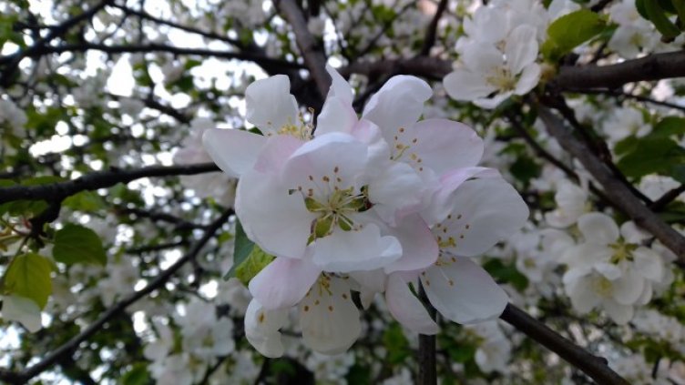 Снимка: архив, БГНЕС