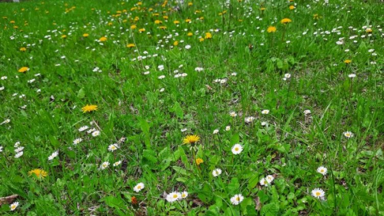 Снимка: Dnes.bg