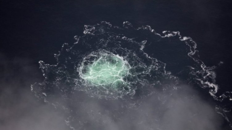 Снимка: архив, БГНЕС