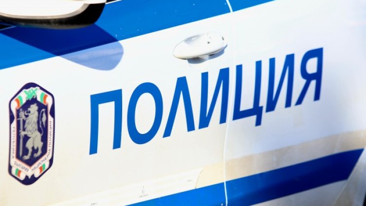 Снимка: архив, БГНЕС