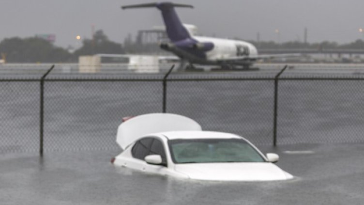 Снимка: архив, БГНЕС