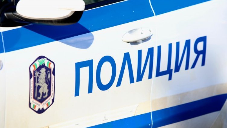 Снимка: архив, БГНЕС