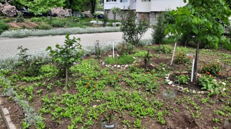 Снимка: Dnes.bg