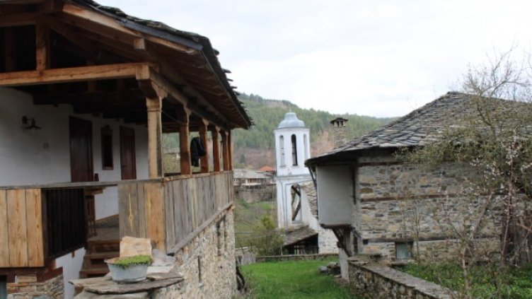 Снимка: архив, БГНЕС