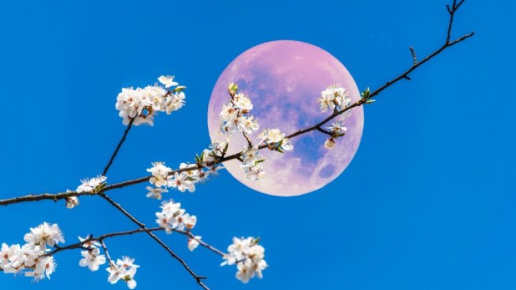 Снимка: iStock/Budanatr