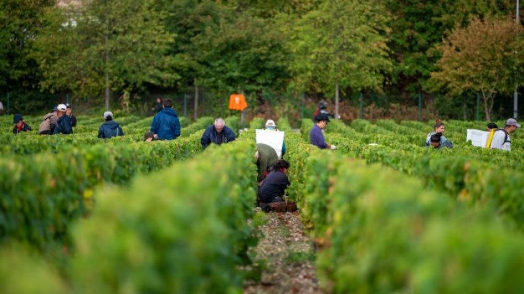 Снимка: БГНЕС/EPA