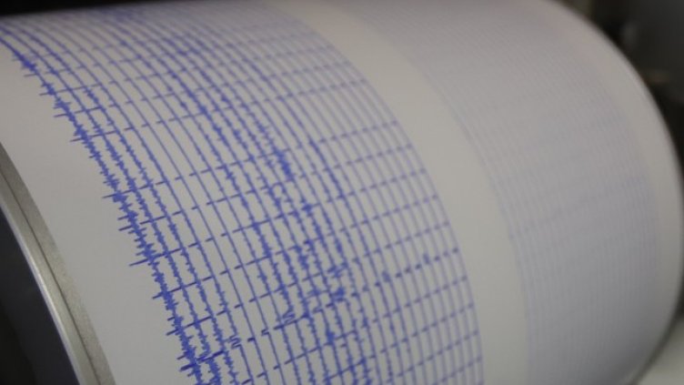 Снимка: архив, БГНЕС