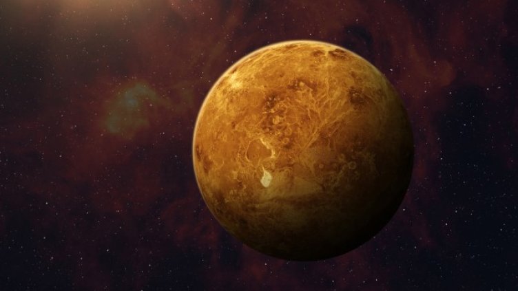 Снимка: iStock/buradaki