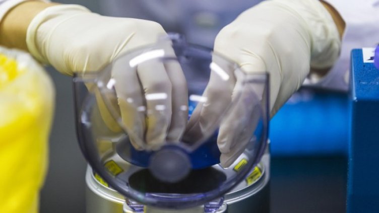 Снимка: архив, БГНЕС