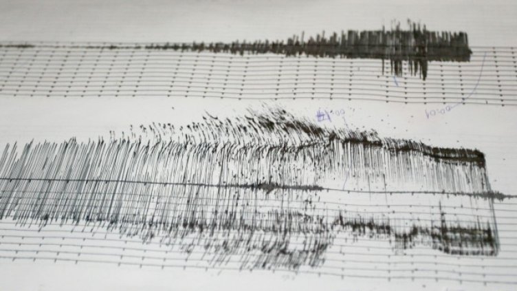 Снимка: архив, БГНЕС