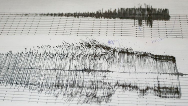 Снимка: архив, БГНЕС