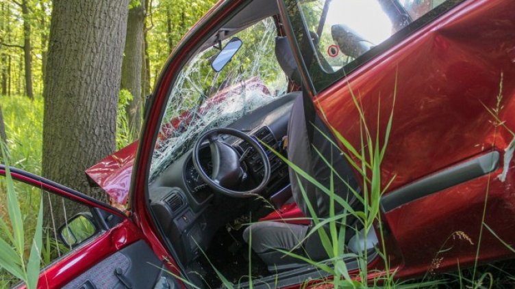 Снимка: Pixabay/Rico_Loeb