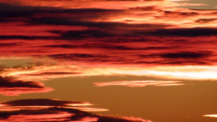 Снимка БГНЕС