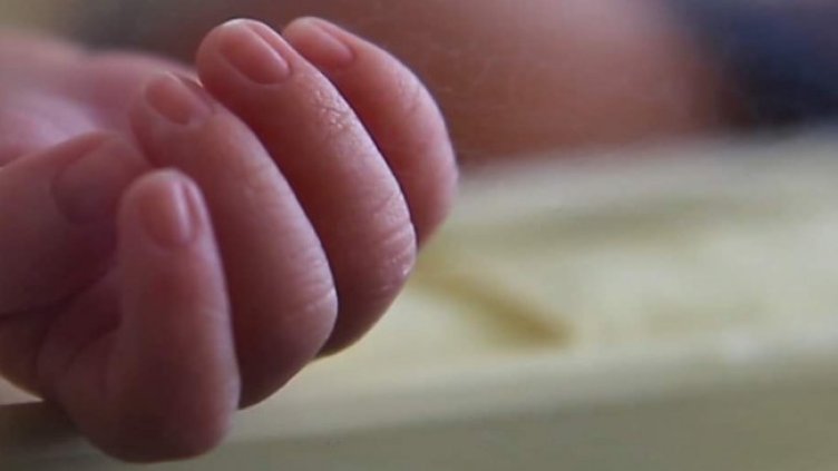 Снимка: архив, БГНЕС