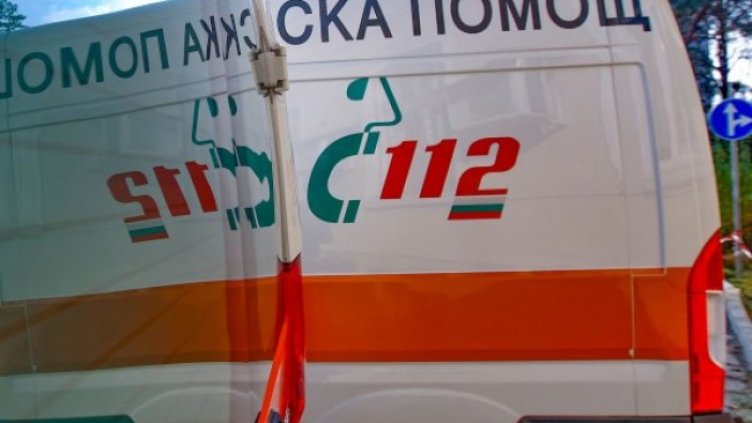 Снимка: Димитър Кьосемарлиев, Dnes.bg