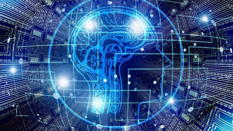 Снимка: Pixabay/geralt