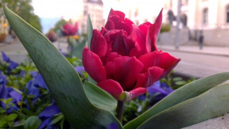 Снимка: архив, БГНЕС