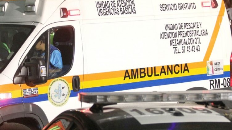 Снимка: архив, БГНЕС