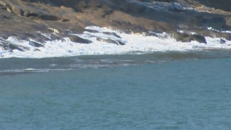 Снимка БГНЕС