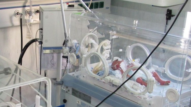 Снимка: БГНЕС