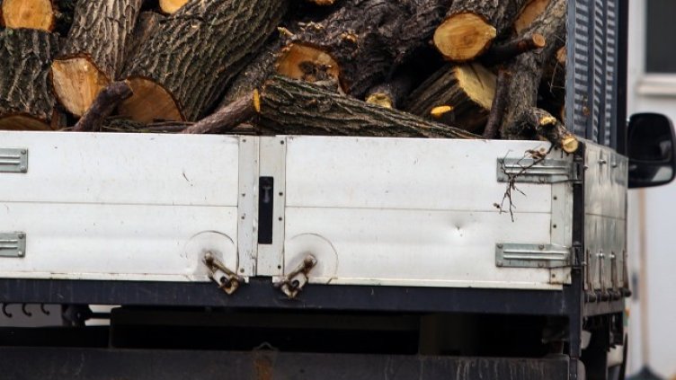 Снимка БГНЕС