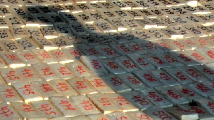 Снимка: архив, БГНЕС