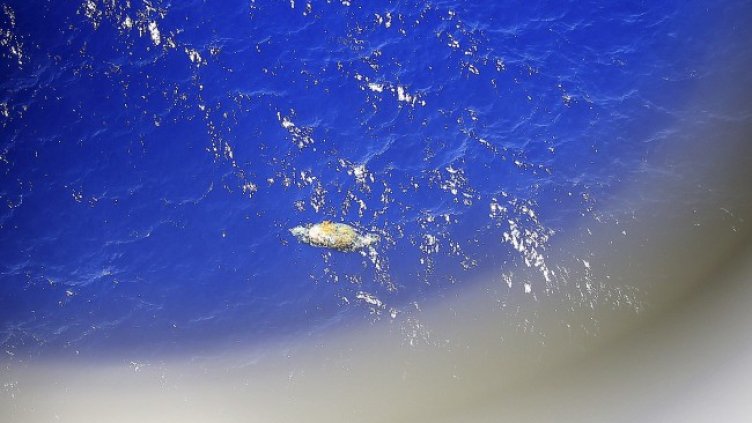 Снимка: архив, БГНЕС