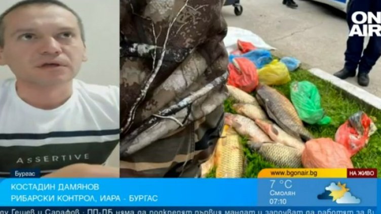 Снимка: Bulgaria ON AIR