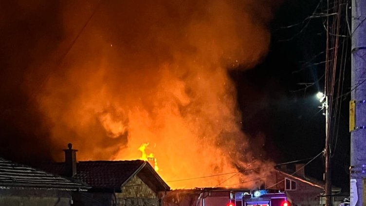 БГНЕС, архив