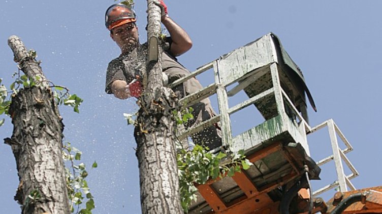 Снимка: архив, БГНЕС