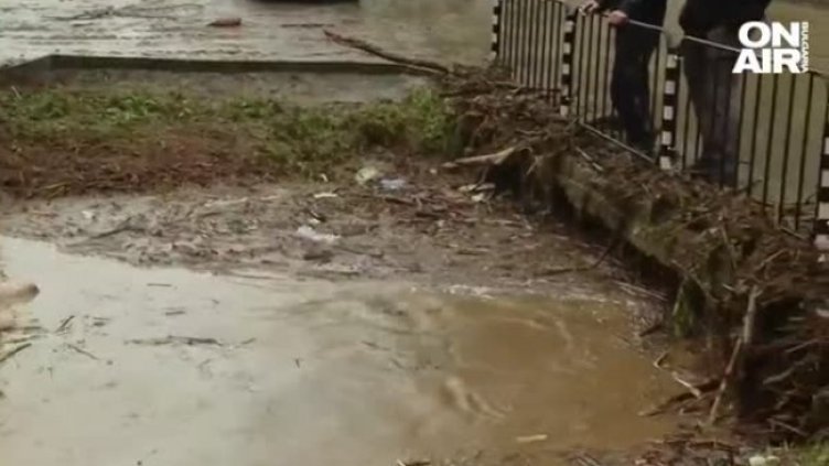 Снимка: БГНЕС, архив