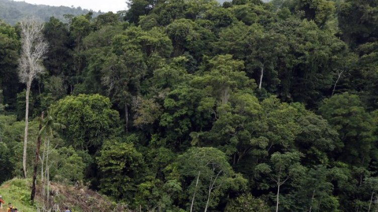 Снимка: архив, БГНЕС