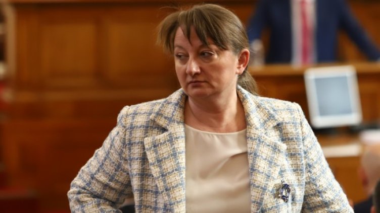 Снимка: архив, БГНЕС