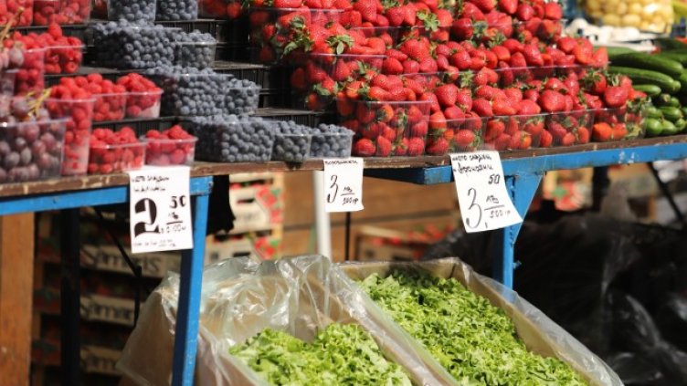 Снимка: БГНЕС