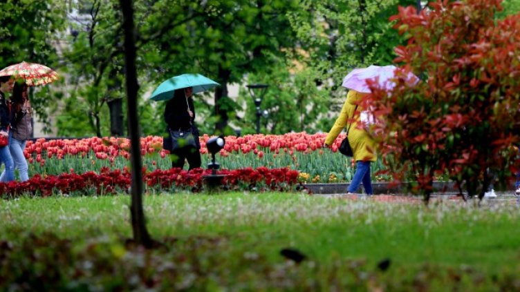 Снимка: БГНЕС