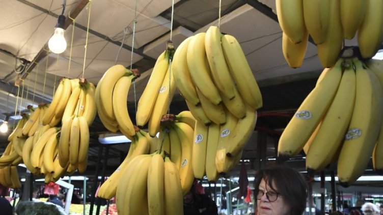 Снимка: архив, БГНЕС