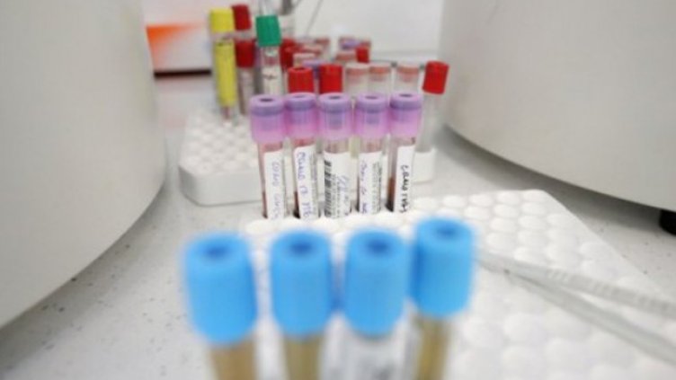 Снимка: Димитър Кьосемарлиев