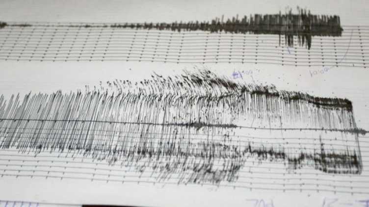 Снимка: архив, БГНЕС