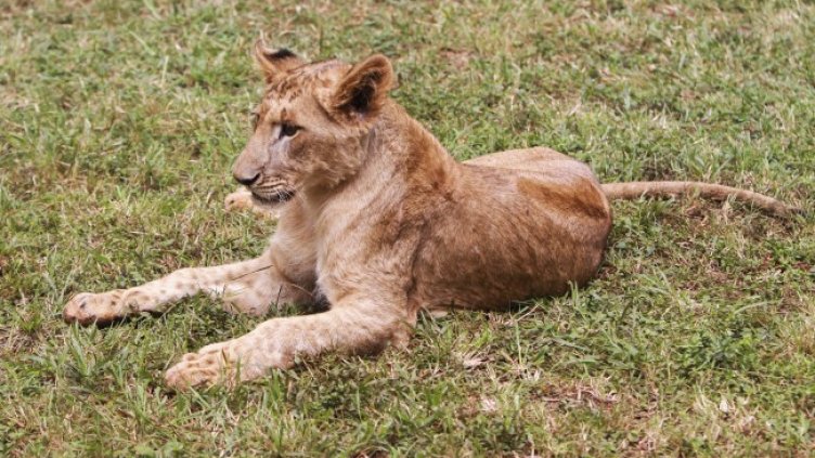 Снимка: архив, БГНЕС