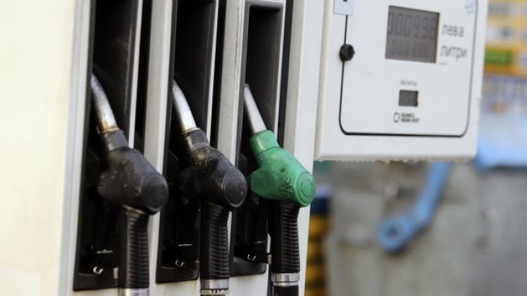 Снимка: архив, БГНЕС