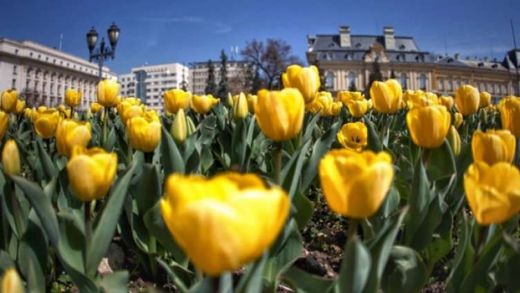 Снимка: Димитър Кьосемарлиев, Dnes.bg