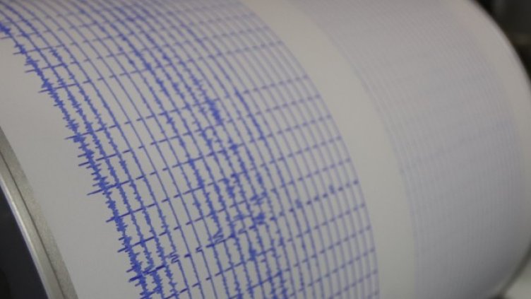 Снимка: архив, БГНЕС