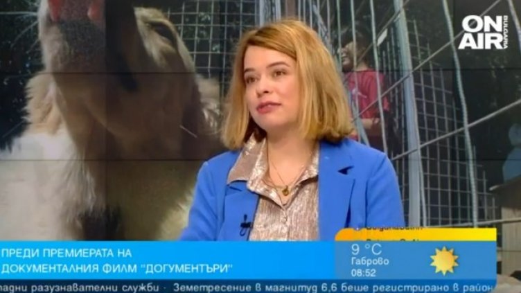 Снимка: Bulgaria ON AIR